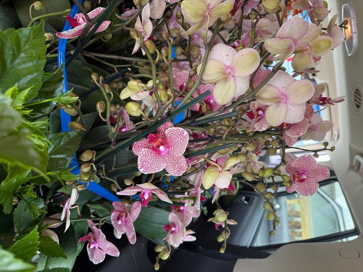 Sale — 325 N Cswy, New Smyrna Beach